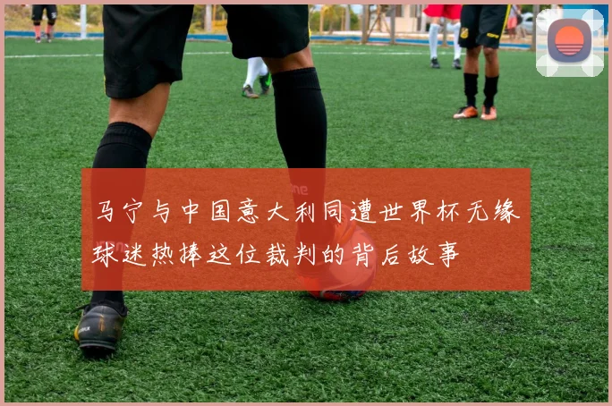 马宁与中国意大利同遭世界杯无缘球迷热捧这位裁判的背后故事