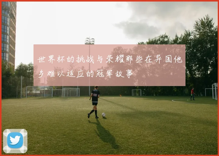 世界杯的挑战与荣耀那些在异国他乡难以适应的冠军故事