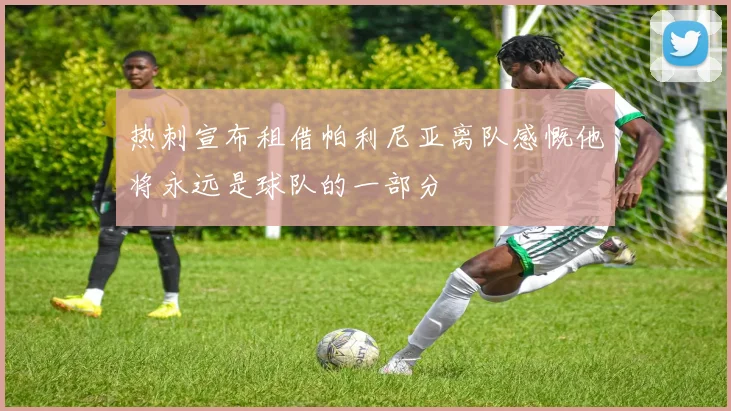 热刺宣布租借帕利尼亚离队感慨他将永远是球队的一部分